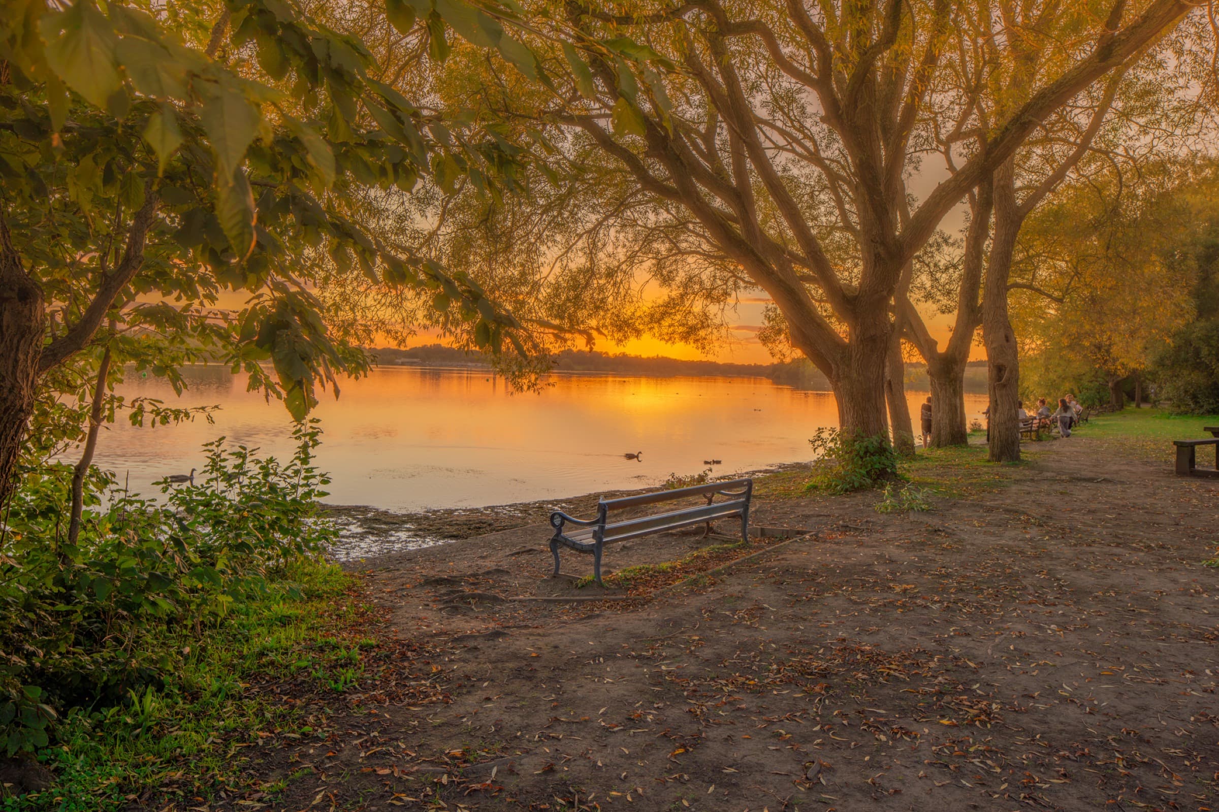 Warm autumn sunset framed by trees and a bench beside Pennington Flash